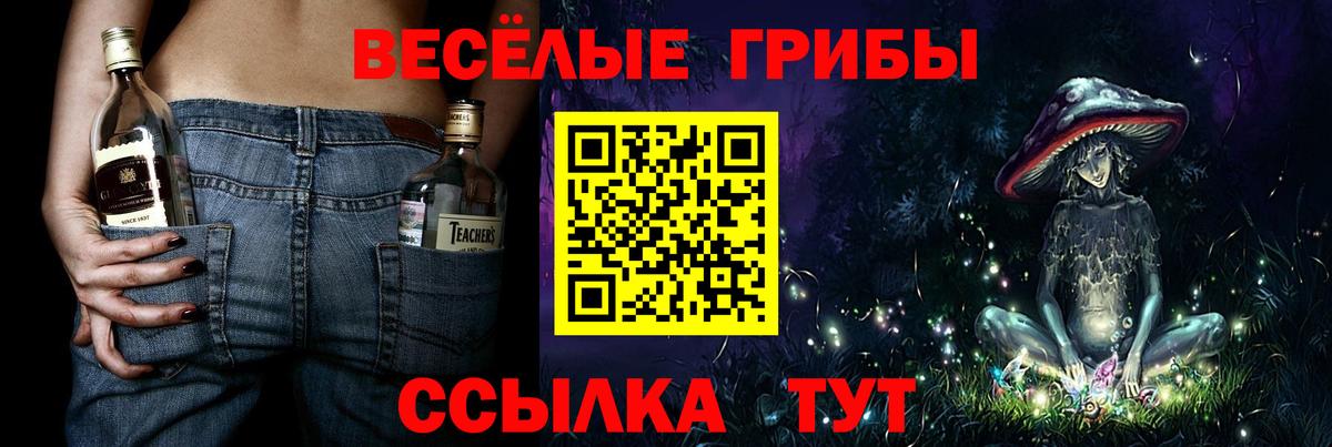 магазин продажи   Псилоцибиновые грибы мухоморы  Вход с VPN  Заинск 