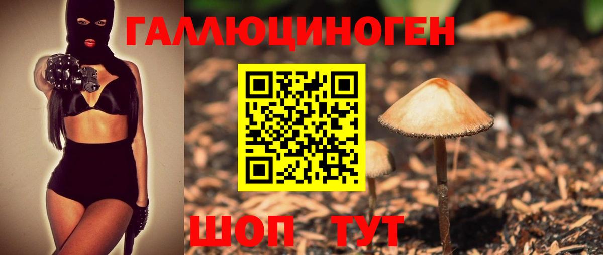 Псилоцибиновые грибы Magic Shrooms Заинск